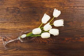 Wineglass With White Tulips