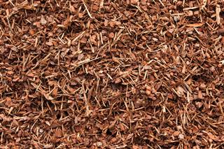 Bark Mulch