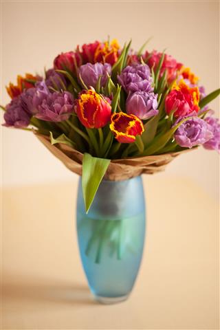Beautiful Bouquet Of Tulips Flowers