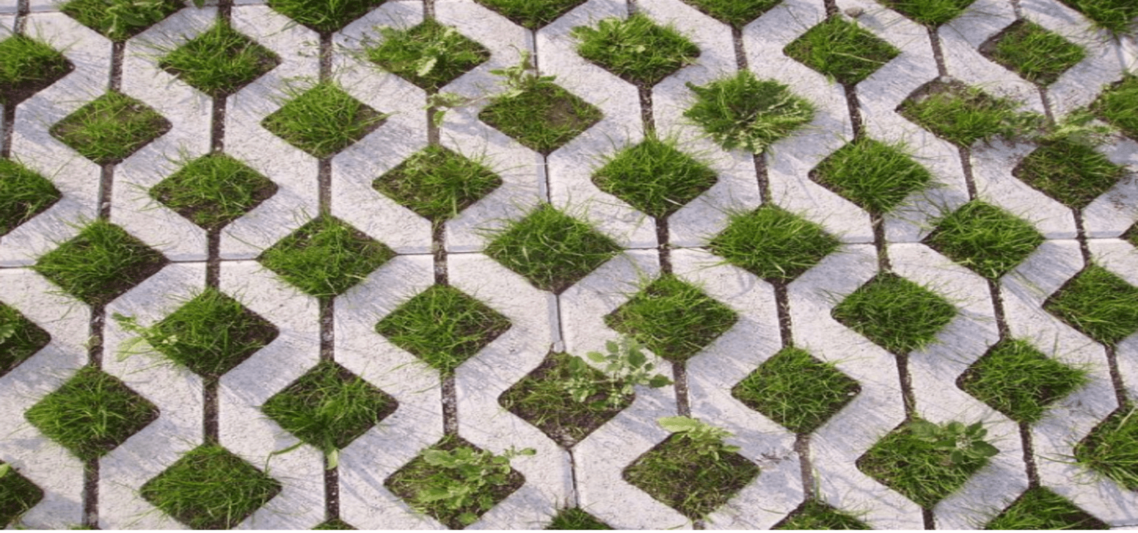 Green Pavement Creates Beautiful Environmental Solutions - Gardenerdy