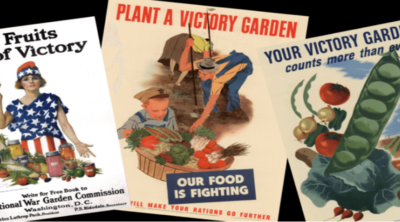 seeds for victory gardens